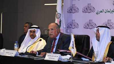 وزير الخارجية يتناول الأمن المائي وسد النهضة أمام البرلمان العربي (صور)