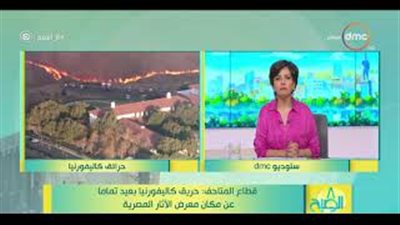 بعد حرائق الغابات.. قطاع المتاحف يكشف حالة الآثار المصرية بكاليفورنيا (فيديو)