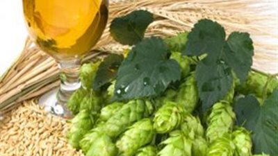 للرجال فقط.. سبعة وصفات عشبية لعلاج التهاب «البروستاتا»