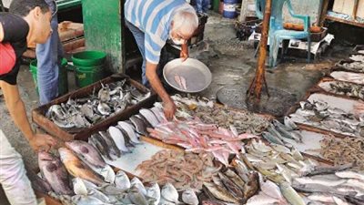 تراجع إنتاج الأسماك بـ«المرة والتمساح» إلى 3.5 آلاف طن بسبب التلوث