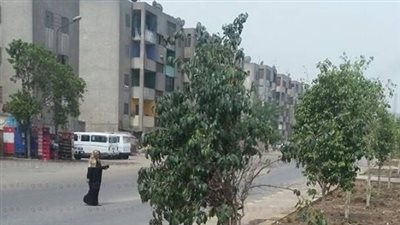 بالصور.. زراعة 3000 شجرة لإنشاء حديقة عامة بشبرا الخيمة