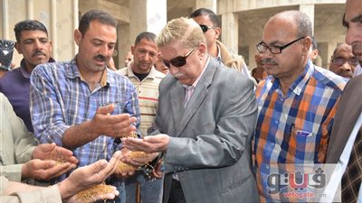 بالفيديو.. محافظ الإسماعيلية: نستهدف توريد 50 ألف طن قمح محلي