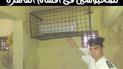 ساخرون: أنا بحب السرقة جدا معرفش ليه