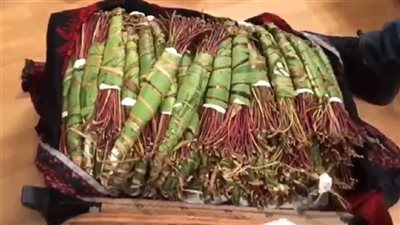 التحقيق في محاولة تهريب 80 كيلو من مخدر القات بمطار القاهرة