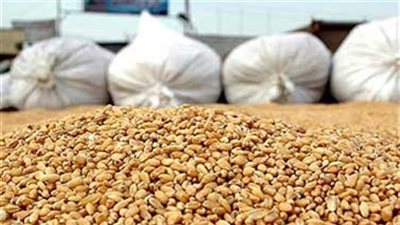 توزيع 7 أطنان قمح وأرز على الفقراء بـ«الداخلة»