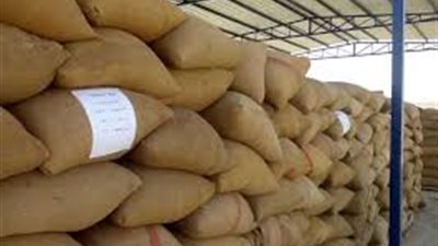 توريد 147 طن قمح لشون بنك التنمية بالوادي الجديد