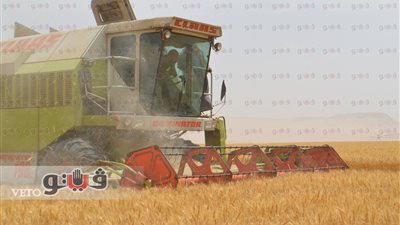 استعدادات بمنطقة زراعات مشروع الـ1.5 مليون فدان قبل زيارة السيسي