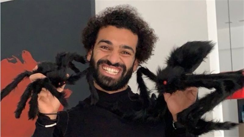 فيتو