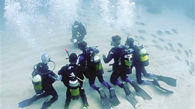 السياحة تبدأ التفتيش على مراكز الغوص بجنوب سيناء