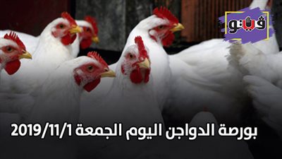 بورصة الدواجن | اسعار الدواجن اليوم الجمعة 2019/11/1
