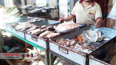 بالفيديو والصور.. السمك الصيني يجتاح الأسواق.. كيلو التونة بـ8 جنيهات.. وتجار البلدي: الصيني ضيع سمعتنا.. والياباني ينافس بقوة.. ومدير سوق المنيب: السوق بركة مجاري.. والتجار: الرقابة الصحية «نسيت
