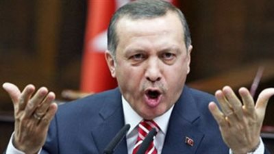 الحكم فى دعوى سحب السفير المصرى من تركيا.. 26 نوفمبر