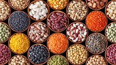 تباين أسعار البقوليات بالمحافظات