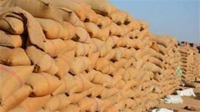 وصول 63 ألف طن قمح إلى ميناء سفاجا