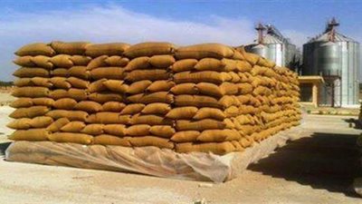 توريد 7 آلاف و512 طن قمح إلى شون وصوامع سوهاج