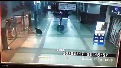 بالفيديو والصور.. شاب يسرق مولا في السعودية بـ«نبلة»