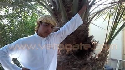 ننشر آخر صور لـ«شهيد بردين» في الشيخ زويد