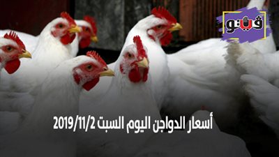 بورصة الدواجن | اسعار الدواجن اليوم السبت 2019/11/2