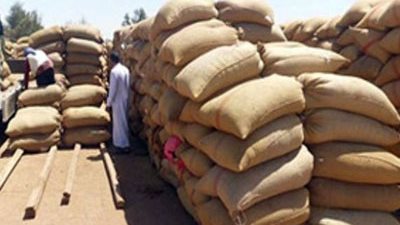 مدير صومعة دمياط: تخزين 150 ألف طن من القمح الوارد من الخارج