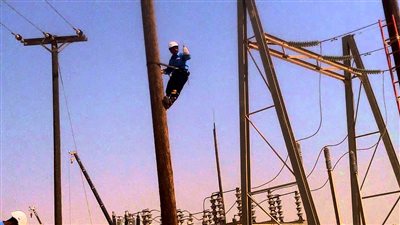 توصيل الكهرباء لـ180 فدانا بالمنطقة الصناعية بالوادى الجديد