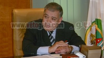 غدا.. محافظ الفيوم يفتتح حفل زفاف جماعى للأيتام