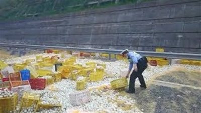 «بيض» يتسبب في فوضى على طريق سريع (فيديو)