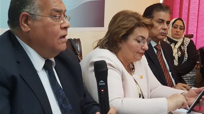 اتحاد المصريين بالخارج يرد على بيان البرلمان الأوروبي