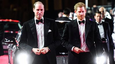 الأمير هاري يختار شقيقه الأمير ويليام كوصيف رئيسي في زفافه