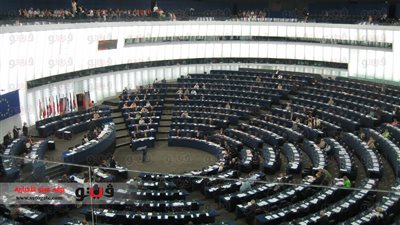 رئيس وفد البرلمان الأوربي: زيارتنا إلى مصر 