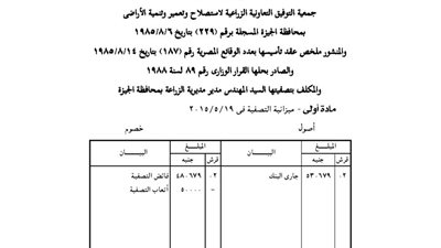 ميزانية تصفية جمعية التوفيق التعاونية بالجيزة