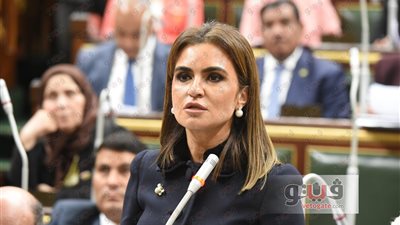 سحر نصر تعترض على تعديل المادة 39 بالاستثمار وعبدالعال يستجيب