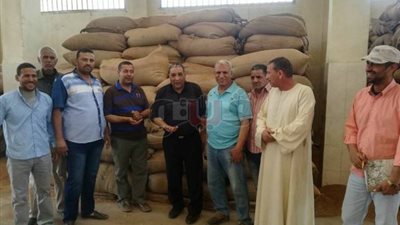 توريد 22 ألف و500 طن قمح لشون وصوامع بني سويف (صور)