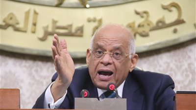 البرلمان يوافق مبدئيا على مشروع قانون حماية البيانات الشخصية