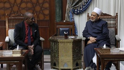 سفير جزر القمر: مناهج الأزهر تتصدى للأفكار المتطرفة