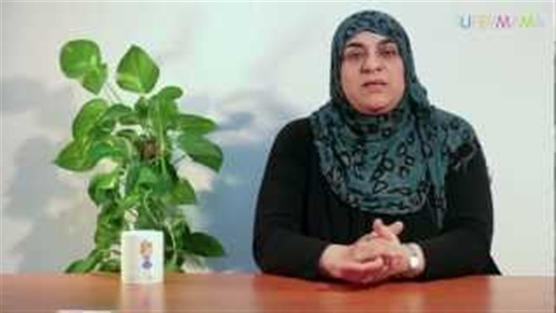 فيتو