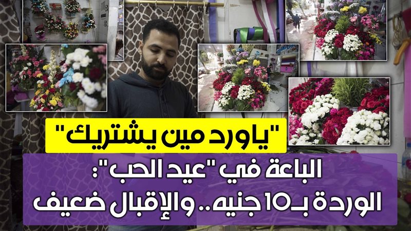 فيتو