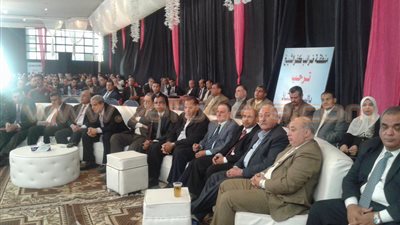 رئيس مصلحة الضرائب المصرية: إنشاء لجنة جديدة للإحالة