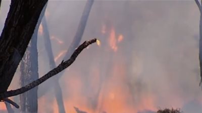 بالفيديو.. الرياح تعوق رجال الإطفاء في أستراليا