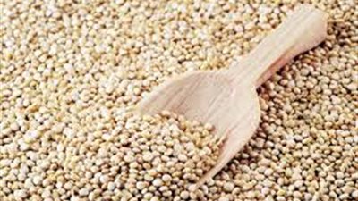 «الكينوا» علاج فعال لأمراض القلب والصداع النصفي