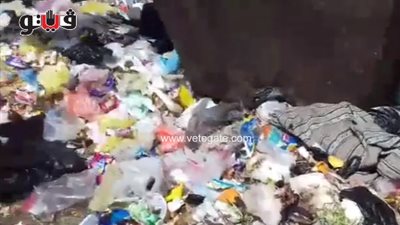 العشوائية تلتهم أرقى شوارع الزقازيق في «القومية والزهور» (فيديو)