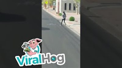 ماذا فعلت فتاتان مع بطة فشلت في عبور الطريق برفقة صغارها (فيديو)