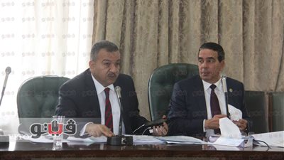 مشادات بين نائب ورئيس «صحة النواب» بسبب قانون مزاولة مهنة الصيدلة