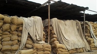 توريد 53 ألف طن قمح في شون وصوامع قنا