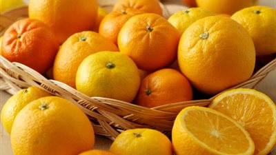 الرقابة على الصادرات: بدء فحص وتصدير البرتقال للدول العربية الشهر القادم