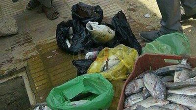 إعدام 325 كيلو أسماك وخضراوات فاسدة في الشرقية (صور)