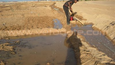 أهالي البحر الأحمر يطالبون باستغلال وديان الصحراء الشرقية في الزراعة