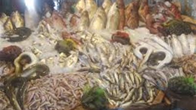 «بلطي أسواني» يسجل 17 جنيها بسوق العبور