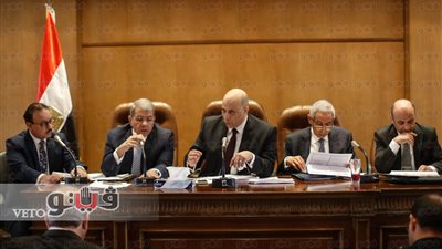 وزير المالية: نسعى للتوازن في منح الحوافز بقانون الاستثمار