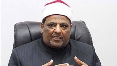 «شومان»: جولات شيخ الأزهر الخارجية أزالت جدار الخوف من الإسلام