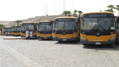 النقل السياحي: 250 أتوبيسا نقلوا 11750 معتمرًا خلال رجب وشعبان